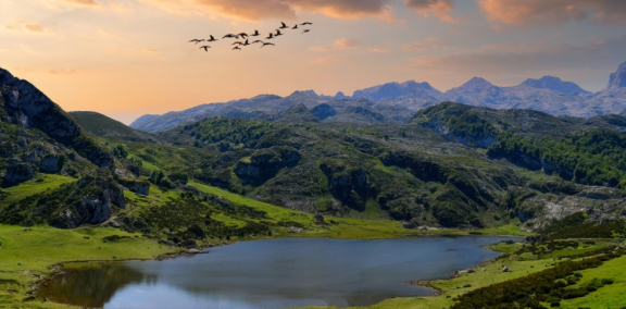 DACHSER & KOLB: Klima in Brasilien