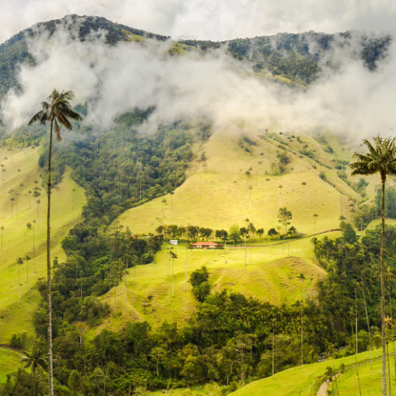 Auswandern nach Kolumbien