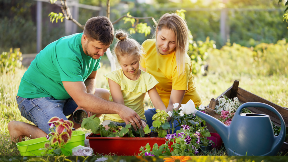 Familie pflanzt Blumen im Garten. Garten- und Landschaftsgestaltung mit Kind. Barrierefrei.