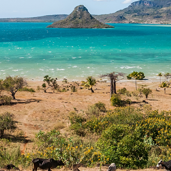 Auswandern nach Madagaskar