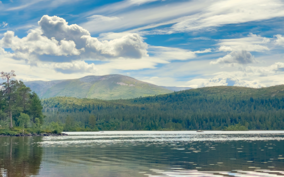 Auswandern nach Lettland: Klima