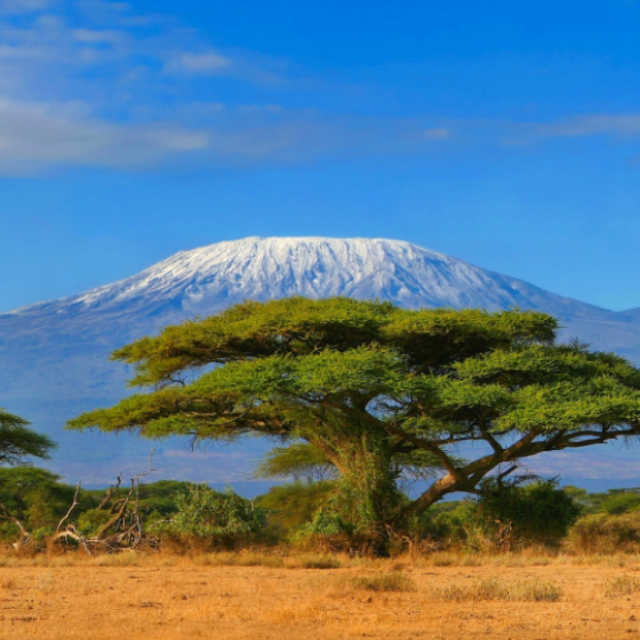 Auswandern nach Tansania