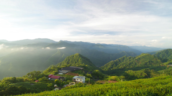 Auswandern nach Taiwan: Klima