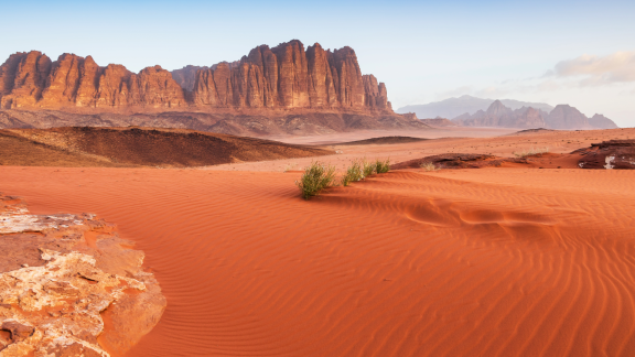 Auswandern nach Jordanien: Wüstenwunder