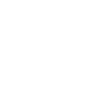 Icon einer Auszeichnung mit Stern, symbolisiert weltweite Qualität und die FIDI-Zertifizierung.